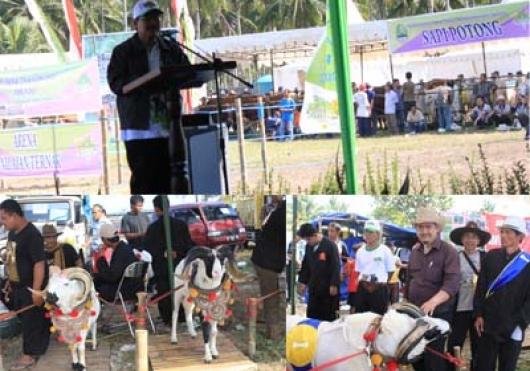 Kontes Ternak Tingkat Provinsi Jawa Barat Tahun 2012 Di Pangandaran Kecamatan Ciamis